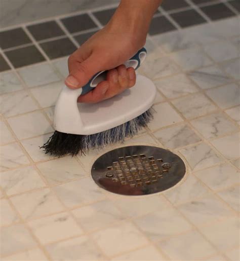 How to clean a shower drain. Things To Know About How to clean a shower drain. 